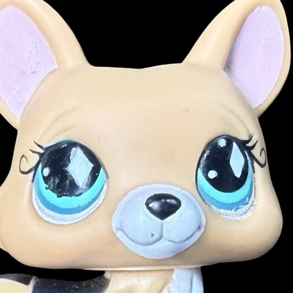 Littlest Pet Shop #724 Tan Black White Corgi Teal Diamond Eyes LPS